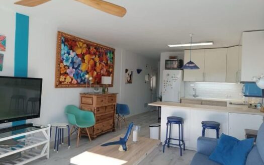 Apartment 1 room 1 bathroom  1 salon  Location:  Benidorm in Avenida Beniarda